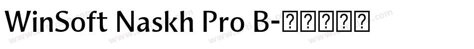 WinSoft Naskh Pro B字体转换